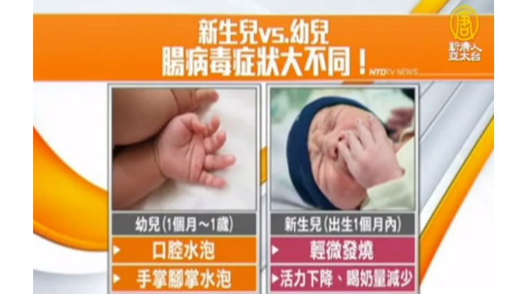 新生兒、幼兒腸病毒症狀比較