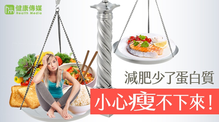 減肥少了蛋白質 小心瘦不下來 減肥少了蛋白質 小心瘦不下來