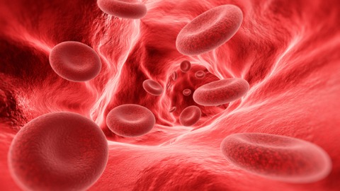 紅血球