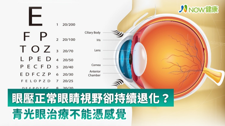眼壓正常眼睛視野卻持續退化？ 青光眼治療不能憑感覺