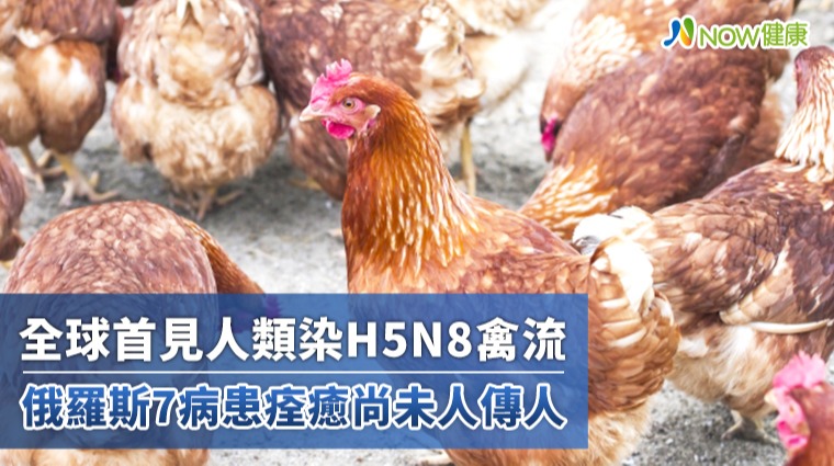 全球首見人類染H5N8禽流 俄羅斯7病患痊癒尚未人傳人