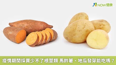 疫情期間採買少不了根莖類 馬鈴薯、地瓜發芽能吃嗎？