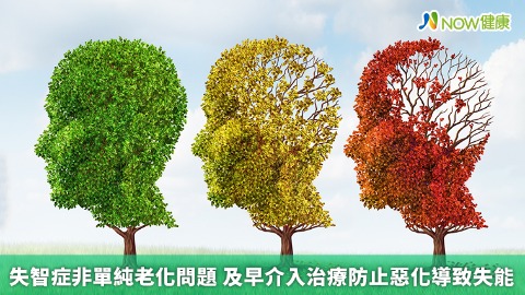 失智症非單純老化問題 及早介入治療防止惡化導致失能