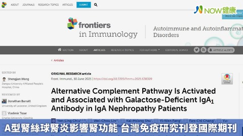 A型腎絲球腎炎影響腎功能 台灣免疫研究刊登國際期刊