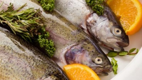 遠離過敏－從小多吃魚 降低過敏發生率