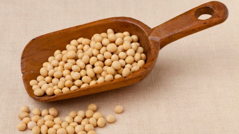 每天攝取適量豆類製品 能降低血糖、血壓
