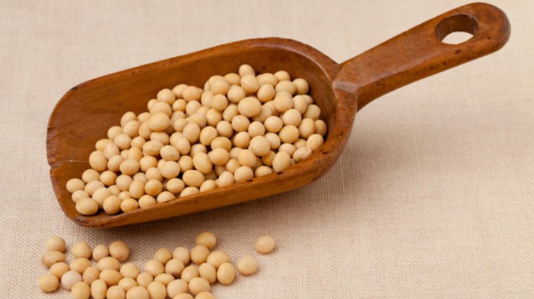 每天攝取適量豆類製品 能降低血糖、血壓