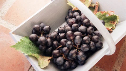 白藜蘆醇具抗癌效果 民眾應適量攝取葡萄堅果