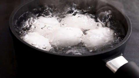 雞隻禽流感風暴 高溫70度烹煮蛋肉保安全