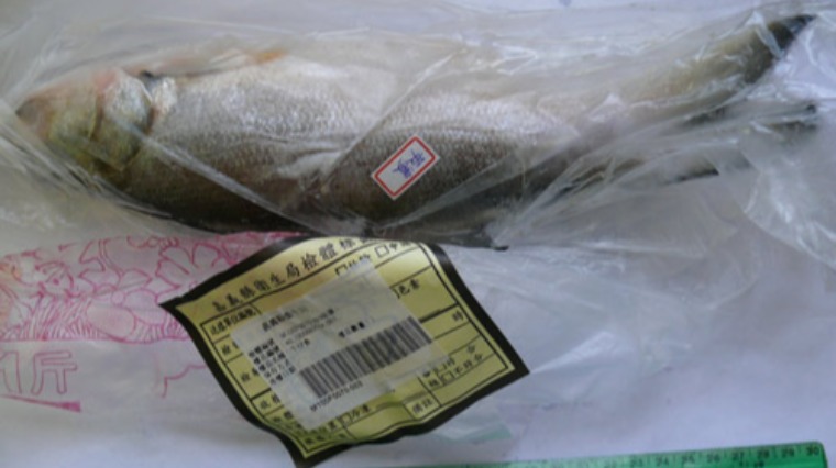 市售4成午仔魚恐遭孔雀綠污染 市售4成午仔魚恐遭孔雀綠污染