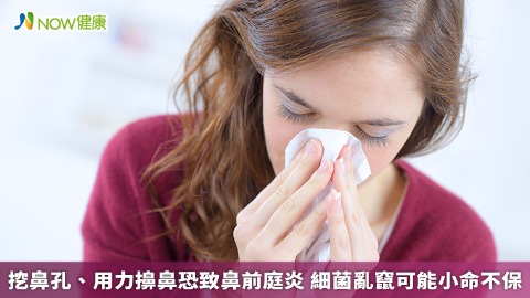 挖鼻孔、用力擤鼻恐致鼻前庭炎 細菌亂竄可能小命不保