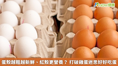 蛋殼越粗越新鮮、紅殼更營養？ 打破雞蛋迷思好好吃蛋