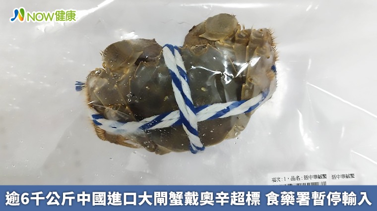 逾6千公斤中國進口大閘蟹戴奧辛超標 食藥署暫停輸入