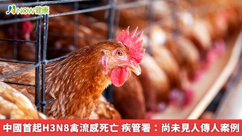 中國首起H3N8禽流感死亡 疾管署：尚未見人傳人案例