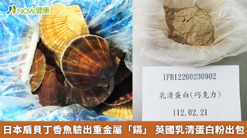 日本扇貝丁香魚驗出重金屬「鎘」 英國乳清蛋白粉出包