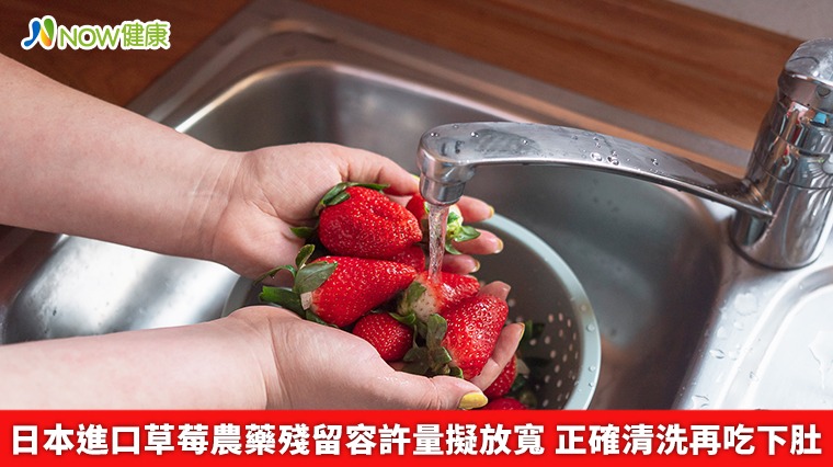日本進口草莓農藥殘留容許量擬放寬 正確清洗再吃下肚