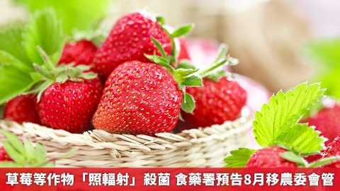 草莓等作物「照輻射」殺菌 食藥署預告8月移農委會管
