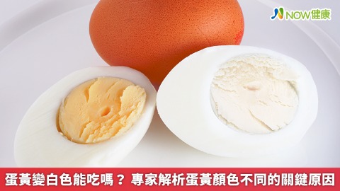 蛋黃變白色能吃嗎？ 專家解析蛋黃顏色不同的關鍵原因