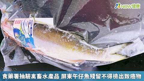 食藥署抽驗禽畜水產品 屏東午仔魚殘留不得檢出致癌物