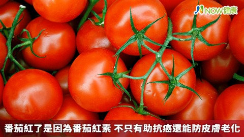 番茄紅了是因為番茄紅素 不只有助抗癌還能防皮膚老化