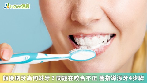 飯後刷牙為何蛀牙？問題在咬合不正 醫指導潔牙4步驟