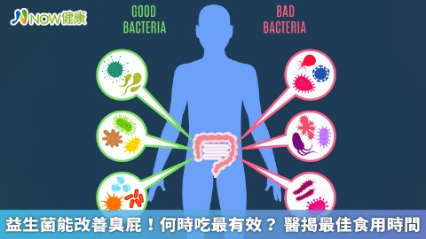 益生菌能改善臭屁！何時吃最有效？ 醫揭最佳食用時間