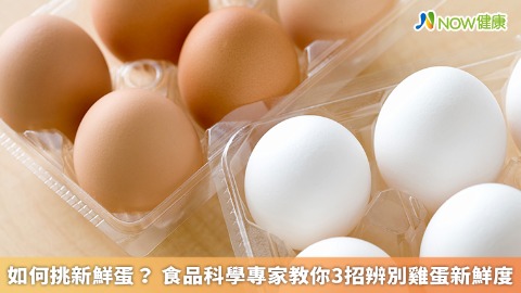 如何挑新鮮蛋？ 食品科學專家教你3招辨別雞蛋新鮮度