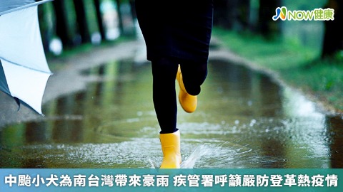 中颱小犬為南台灣帶來豪雨 疾管署呼籲嚴防登革熱疫情
