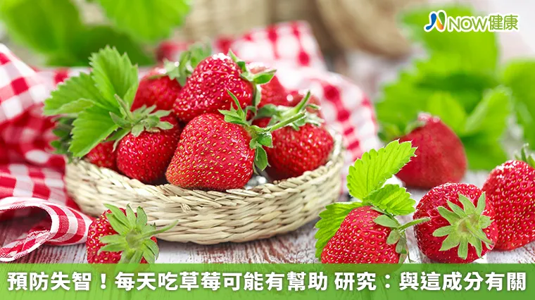 預防失智！每天吃草莓可能有幫助 研究：與這成分有關