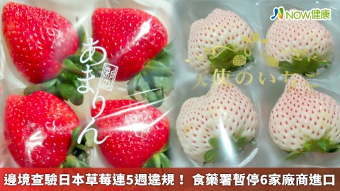 邊境查驗日本草莓連5週違規！ 食藥署暫停6家廠商進口