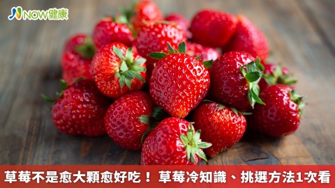 草莓不是愈大顆愈好吃！ 草莓冷知識、挑選方法1次看