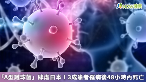 「A型鏈球菌」肆虐日本！3成患者罹病後48小時內死亡
