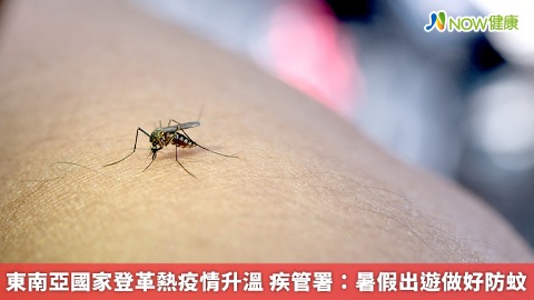 東南亞國家登革熱疫情升溫 疾管署：暑假出遊做好防蚊