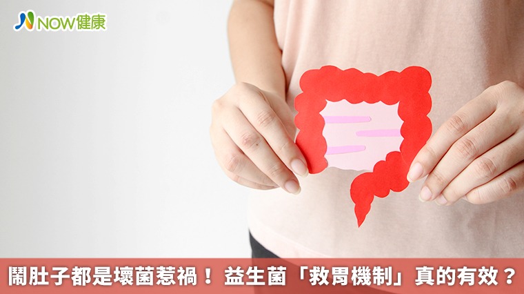 鬧肚子都是壞菌惹禍! 益生菌「救胃機制」真的有效? 鬧肚子都是壞菌惹禍! 益生菌「救胃機制」真的有效?