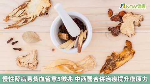 慢性腎病易貧血留意5徵兆 中西醫合併治療提升復原力