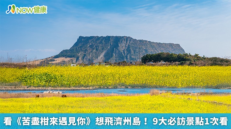 看《苦盡柑來遇見你》想飛濟州島! 9大必訪景點1次看 看《苦盡柑來遇見你》想飛濟州島! 9大必訪景點1次看