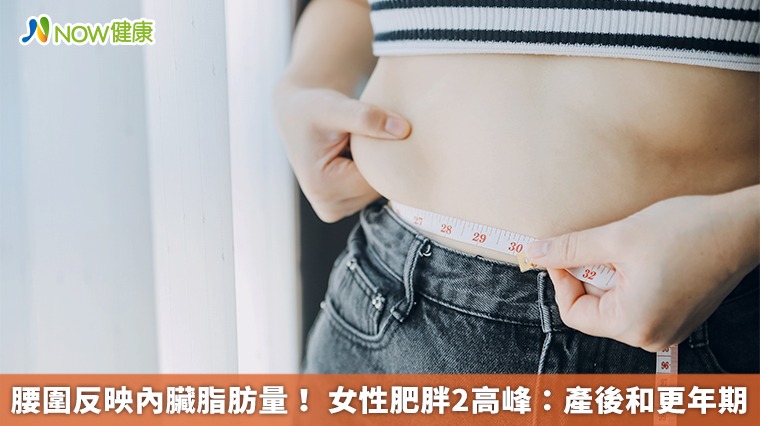 腰圍反映內臟脂肪量！ 女性肥胖2高峰：產後和更年期 
