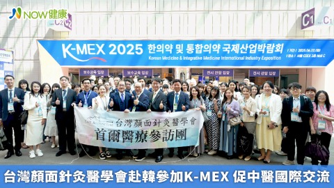 台灣顏面針灸醫學會赴韓參加K-MEX 促中醫國際交流