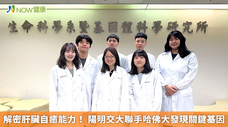 解密肝臟自癒能力! 陽明交大聯手哈佛大發現關鍵基因 解密肝臟自癒能力! 陽明交大聯手哈佛大發現關鍵基因
