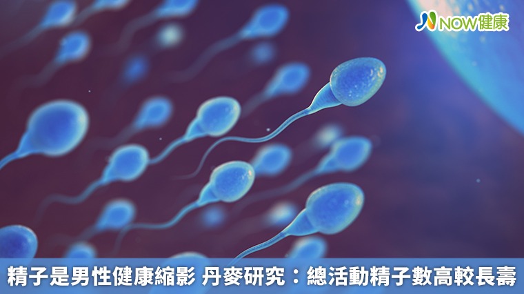 精子是男性健康縮影 丹麥研究:總活動精子數高較長壽 精子是男性健康縮影 丹麥研究:總活動精子數高較長壽