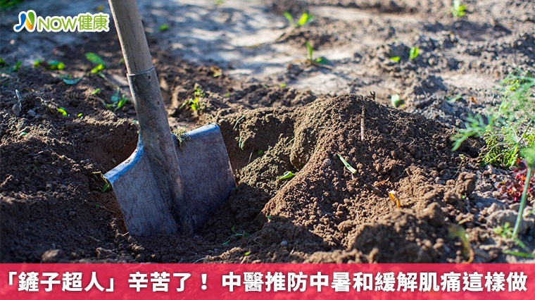 「鏟子超人」辛苦了! 中醫推防中暑和緩解肌痛這樣做 「鏟子超人」辛苦了! 中醫推防中暑和緩解肌痛這樣做
