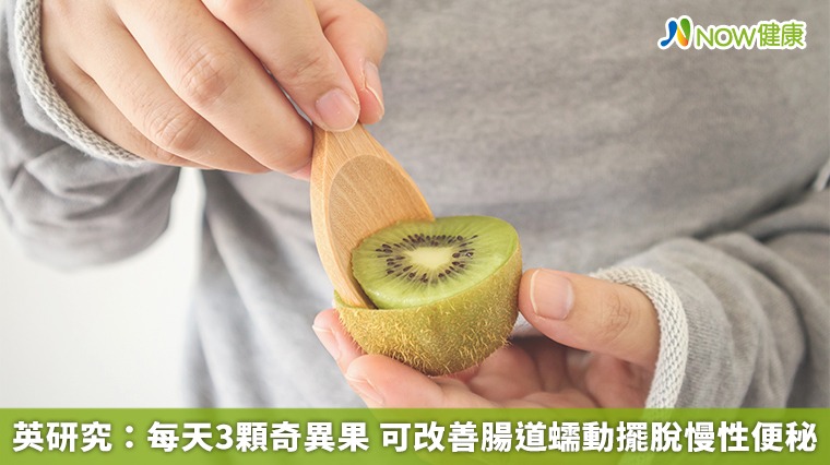 英研究：每天3顆奇異果 可改善腸道蠕動擺脫慢性便秘