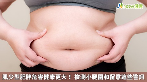 肌少型肥胖危害健康更大! 檢測小腿圍和留意這些警訊 肌少型肥胖危害健康更大! 檢測小腿圍和留意這些警訊