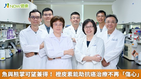 魚與熊掌可望兼得! 橙皮素能助抗癌治療不再「傷心」 魚與熊掌可望兼得! 橙皮素能助抗癌治療不再「傷心」