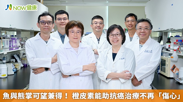 魚與熊掌可望兼得! 橙皮素能助抗癌治療不再「傷心」 魚與熊掌可望兼得! 橙皮素能助抗癌治療不再「傷心」