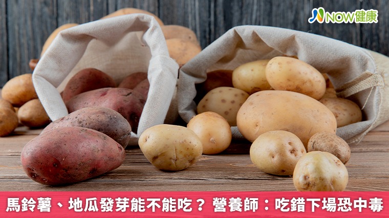 馬鈴薯、地瓜發芽能不能吃？ 營養師：吃錯下場恐中毒