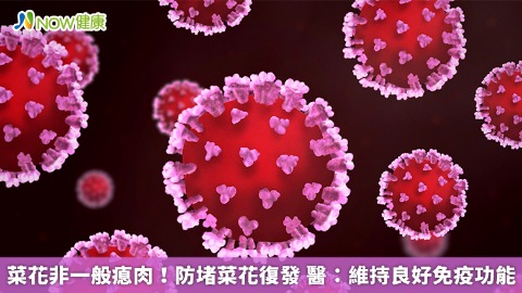 菜花非一般瘜肉！防堵菜花復發 醫：維持良好免疫功能