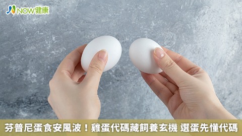 芬普尼蛋食安風波！雞蛋代碼藏飼養玄機 選蛋先懂代碼 