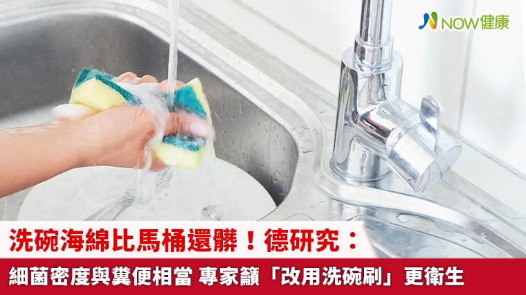 洗碗海綿比馬桶還髒！德研究：細菌密度與糞便相當 專家籲「改用洗碗刷」更衛生