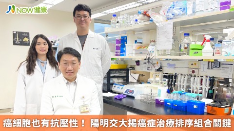 癌細胞也有抗壓性！ 陽明交大揭癌症治療排序組合關鍵